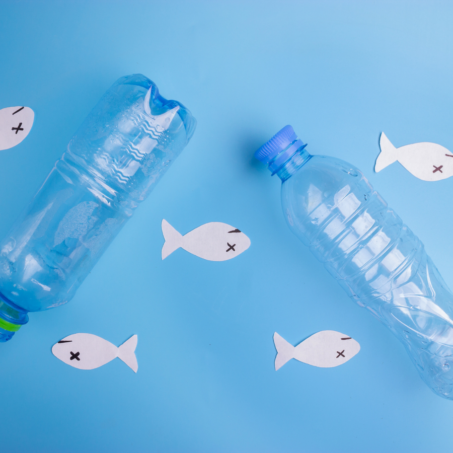 Out of Site, Out of Mind - The Environmental Impact of Sanitary Products